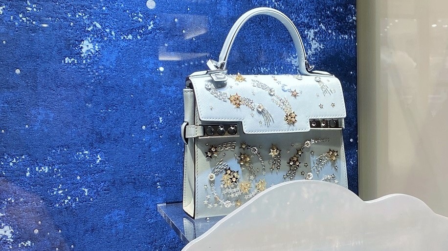 Delvaux Celestial collection handbag in window display